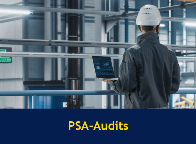 PSA-Audits